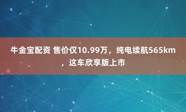 牛金宝配资 售价仅10.99万，纯电续航565km，这车欣享版上市
