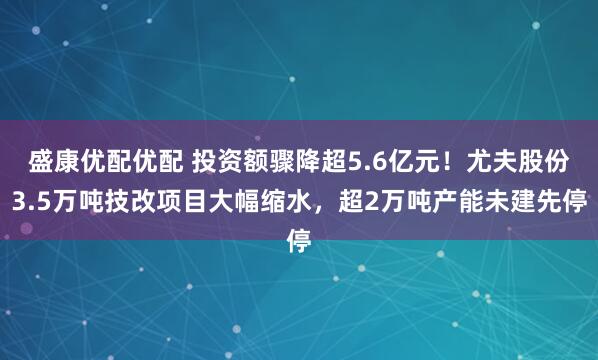 盛康优配优配 投资额骤降超5.6亿元！尤夫股份3.5万吨技改项目大幅缩水，超2万吨产能未建先停